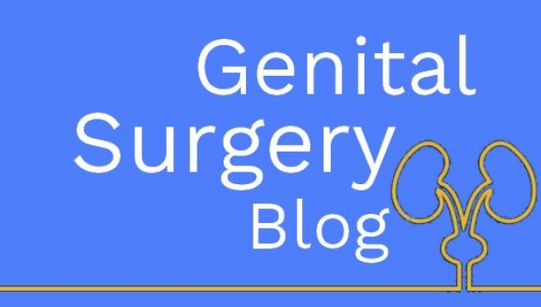 The start of our blog for anyone who is interested in genital surgery.