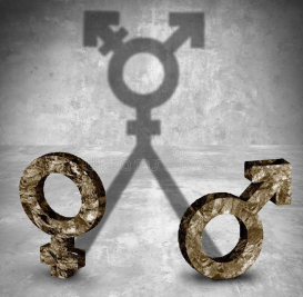 transgender or transexual